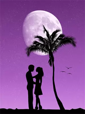 闪婚后财阀老公又宠又野小说