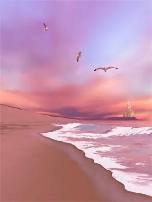 浪漫头纱落下瞬间